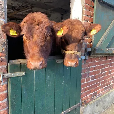 Kluvetasch Nr 3 - Seestern Apartamento